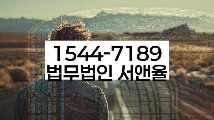 신용불량자사면